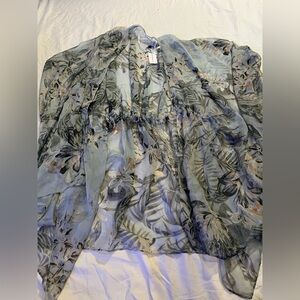 Sheer Blouse